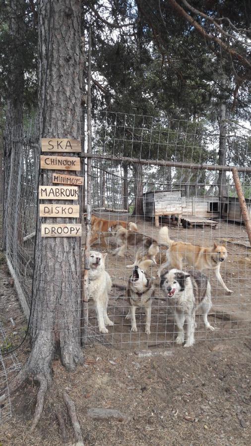 Cabin At Huskies Farm Инари Экстерьер фото