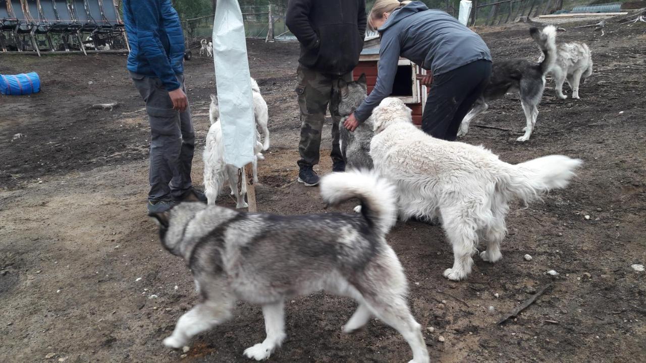 Cabin At Huskies Farm Инари Экстерьер фото